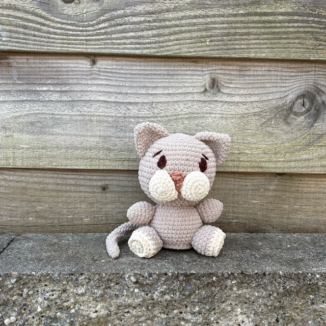 Gijs de Kat zit recht voor de camera, te koop bij De Garengarage
